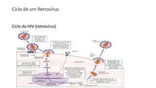 Ciclo de um Retrovírus
Ciclo do HIV (retrovírus)
 
