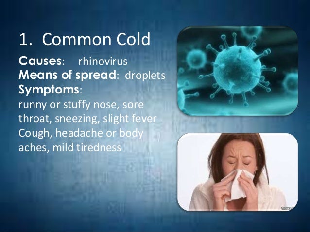 viral diseases
