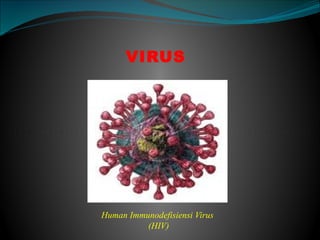 VIRUS
Human Immunodefisiensi Virus
(HIV)
 