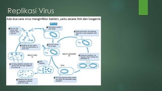 Replikasi Virus
 