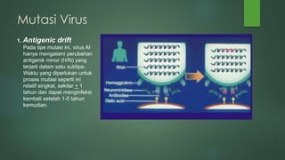 Mutasi Virus
1. Antigenic drift
Pada tipe mutasi ini, virus AI
hanya mengalami perubahan
antigenik minor (H/N) yang
terjadi dalam satu subtipe.
Waktu yang diperlukan untuk
proses mutasi seperti ini
relatif singkat, sekitar + 1
tahun dan dapat menginfeksi
kembali setelah 1-5 tahun
kemudian.
 