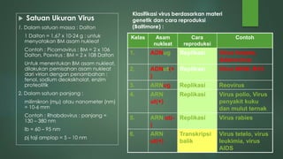  Satuan Ukuran Virus
1. Dalam satuan massa : Dalton
1 Dalton = 1,67 x 10-24 g : untuk
menyatakan BM asam nukleat
Contoh : Picornavirus : BM = 2 x 106
Dalton, Poxvirus : BM = 2 x 108 Dalton
Untuk menentukan BM asam nukleat,
dilakukan pemisahan asam nukleat
dari virion dengan penambahan :
fenol, sodium deoksikholat, enzim
proteolitik
2. Dalam satuan panjang :
milimikron (mμ) atau nanometer (nm)
= 10-6 mm
Contoh : Rhabdovirus : panjang =
130 – 380 nm
lb = 60 – 95 nm
pj taji amplop = 5 – 10 nm
Kelas Asam
nukleat
Cara
reproduksi
Contoh
1. ADNug Replikasi Virus herpes,
Adenovirus
2. ADNut(+
)
Replikasi Virus MVM, M13
3. ARNug Replikasi Reovirus
4. ARN
ut(+)
Replikasi Virus polio, Virus
penyakit kuku
dan mulut ternak
5. ARN ut(-
)
Replikasi Virus rabies
6. ARN
ut(+)
Transkripsi
balik
Virus tetelo, virus
leukimia, virus
AIDS
Klasifikasi virus berdasarkan materi
genetik dan cara reproduksi
(Baltimore) :
 