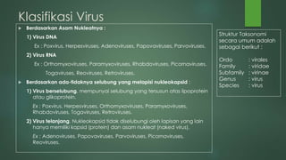 Klasifikasi Virus
 Berdasarkan Asam Nukleatnya :
1) Virus DNA
Ex : Poxvirus, Herpesviruses, Adenoviruses, Papovaviruses, Parvoviruses.
2) Virus RNA
Ex : Orthomyxoviruses, Paramyxoviruses, Rhabdoviruses, Picornaviruses,
Togaviruses, Reoviruses, Retroviruses.
 Berdasarkan ada-tidaknya selubung yang melapisi nukleokapsid :
1) Virus berselubung, mempunyai selubung yang tersusun atas lipoprotein
atau glikoprotein.
Ex : Poxvirus, Herpesviruses, Orthomyxoviruses, Paramyxoviruses,
Rhabdoviruses, Togaviruses, Retroviruses.
2) Virus telanjang, Nukleokapsid tidak diselubungi oleh lapisan yang lain
hanya memiliki kapsid (protein) dan asam nukleat (naked virus).
Ex : Adenoviruses, Papovaviruses, Parvoviruses, Picornaviruses,
Reoviruses.
Struktur Taksonomi
secara umum adalah
sebagai berikut :
Ordo : virales
Family : viridae
Subfamily : virinae
Genus : virus
Species : virus
 