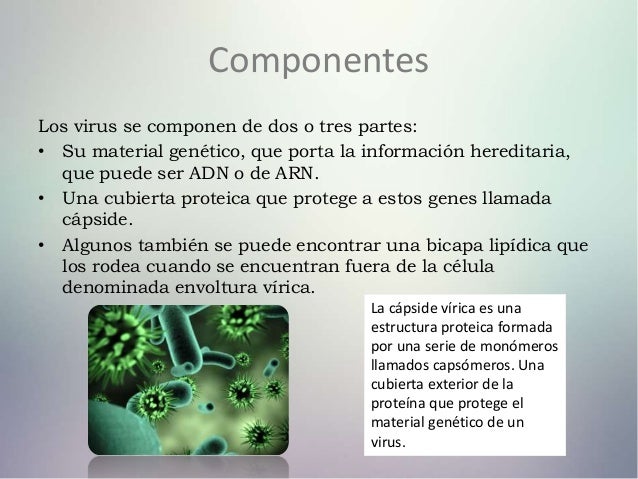 Virus