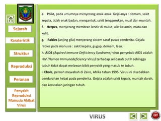 e. Polio, pada umumnya menyerang anak-anak. Gejalanya : demam, sakit
kepala, tidak enak badan, mengantuk, sakit tenggorokan, mual dan muntah.
f. Herpes, menyerang membran lendir di mulut, alat kelamin, mata dan
kulit.
g. Rabies (anjing gila) menyerang sistem saraf pusat penderita. Gejala
rabies pada manusia : sakit kepala, gugup, demam, lesu.
h. AIDS (Aquired Immune Defticiency Syndrome) virus penyebab AIDS adalah
HIV (Human Immunodeficiency Virus) terhadap sel darah putih sehingga
tubuh tidak dapat melawan bibit penyakit yang masuk ke tubuh.
i. Ebola, pernah mewabah di Zaire, Afrika tahun 1995. Virus ini disebabkan
pendarahan hebat pada penderita. Gejala adalah sakit kepala, muntah darah,
dan kerusakan jaringan tubuh.
 