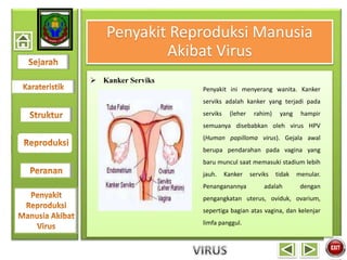 Penyakit Reproduksi Manusia
Akibat Virus
 Kanker Serviks
Penyakit ini menyerang wanita. Kanker
serviks adalah kanker yang terjadi pada
serviks (leher rahim) yang hampir
semuanya disebabkan oleh virus HPV
(Human papilloma virus). Gejala awal
berupa pendarahan pada vagina yang
baru muncul saat memasuki stadium lebih
jauh. Kanker serviks tidak menular.
Penanganannya adalah dengan
pengangkatan uterus, oviduk, ovarium,
sepertiga bagian atas vagina, dan kelenjar
limfa panggul.
 