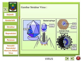 Gambar Struktur Virus :
 