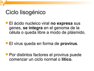 Ciclo lisogénico
 El ácido nucleico viral no expresa sus
genes, se integra en el genoma de la
célula o queda libre a modo de plásmido.
 El virus queda en forma de provirus.
 Por distintos factores el provirus puede
comenzar un ciclo normal o lítico.
 
