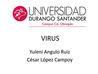 VIRUS
Yuleni Angulo Ruiz
César López Campoy
 