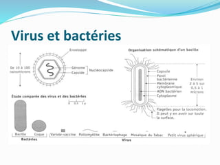 Virologie