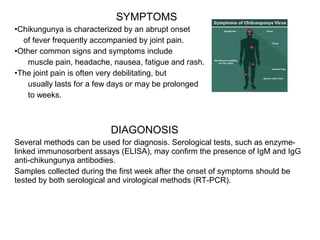SYMPTOMS
•Chikungunya is characterized by an abrupt onset
of fever frequently accompanied by joint pain.
•Other common signs and symptoms include
muscle pain, headache, nausea, fatigue and rash.
•The joint pain is often very debilitating, but
usually lasts for a few days or may be prolonged
to weeks.
DIAGONOSIS
Several methods can be used for diagnosis. Serological tests, such as enzyme-
linked immunosorbent assays (ELISA), may confirm the presence of IgM and IgG
anti-chikungunya antibodies.
Samples collected during the first week after the onset of symptoms should be
tested by both serological and virological methods (RT-PCR).
 