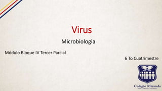 Virus
Microbiologia
Módulo Bloque IV Tercer Parcial
6 To Cuatrimestre
 