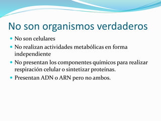 No son organismos verdaderos
 No son celulares
 No realizan actividades metabólicas en forma
independiente
 No presentan los componentes químicos para realizar
respiración celular o sintetizar proteínas.
 Presentan ADN o ARN pero no ambos.
 