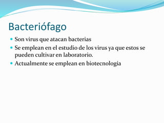 Bacteriófago
 Son virus que atacan bacterias
 Se emplean en el estudio de los virus ya que estos se
pueden cultivar en laboratorio.
 Actualmente se emplean en biotecnología
 