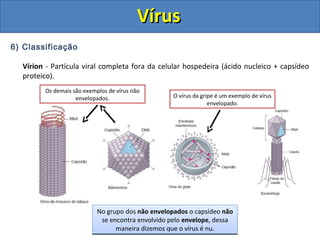 VírusVírus
6) Classificação
Vírion - Partícula viral completa fora da celular hospedeira (ácido nucleico + capsídeo
proteico).
Existem vírus de diferentes formas geométricas
(helicoidais, poliédricos, icosaédricos,
cilíndricos...)
Existem vírus de diferentes formas geométricas
(helicoidais, poliédricos, icosaédricos,
cilíndricos...)
Podemos classificar os vírus em dois grandes
grupos: o grupo dos vírus Envelopados e o dos
não Envelopados.
Podemos classificar os vírus em dois grandes
grupos: o grupo dos vírus Envelopados e o dos
não Envelopados.
No grupo dos vírus envelopados o capsídeo é
coberto pelo envelope que é formado quando o
vírus é exocitado da célula hospedeira.
No grupo dos vírus envelopados o capsídeo é
coberto pelo envelope que é formado quando o
vírus é exocitado da célula hospedeira.
Dessa maneira, o envelope é formado por uma
porção da membrana citoplasmática da célula
hospedeira.
Dessa maneira, o envelope é formado por uma
porção da membrana citoplasmática da célula
hospedeira.
No grupo dos não envelopados o capsídeo não
se encontra envolvido pelo envelope, dessa
maneira dizemos que o vírus é nu.
No grupo dos não envelopados o capsídeo não
se encontra envolvido pelo envelope, dessa
maneira dizemos que o vírus é nu.
O vírus da gripe é um exemplo de vírus
envelopado.
Os demais são exemplos de vírus não
envelopados.
 