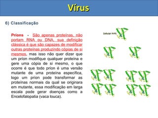 VírusVírus
6) Classificação
Príons - São apenas proteínas, não
portam RNA ou DNA, sua definição
clássica é que são capazes de modificar
outras proteínas produzindo cópias de si
mesmos, mas isso não quer dizer que
um príon modifique qualquer proteína e
gere uma cópia de si mesmo, o que
ocorre é que todo príon é uma versão
mutante de uma proteína específica,
logo um príon pode transformar as
proteínas normais da qual se originara
em mutante, essa modificação em larga
escala pode gerar doenças como a
Encelofalopatia (vaca louca).
 