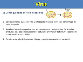 9) Consequências do ciclo lisogênico
1. Células contendo o genoma viral (profago) são imunes à reinfecção por um fago da
mesma espécie.
2. As células hospedeiras podem vir a apresentar novas características. Ex: A toxina
produzida pela bactéria causadora do botulismo Clostridium botulinum, é codificada
por um gene de um profago.
3. Permite a transdução bacteriana (tipo de reprodução sexuada em bactérias)
Genoma
viral
VírusVírus
 