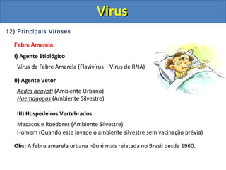 12) Principais Viroses
Febre Amarela
I) Agente Etiológico
Vírus da Febre Amarela (Flavivírus – Vírus de RNA)
II) Agente Vetor
Aedes aegypti (Ambiente Urbano)
Haemagogos (Ambiente Silvestre)
III) Hospedeiros Vertebrados
Macacos e Roedores (Ambiente Silvestre)
Homem (Quando este invade o ambiente silvestre sem vacinação prévia)
Obs: A febre amarela urbana não é mais relatada no Brasil desde 1960.
VírusVírus
 