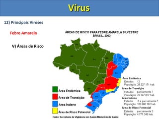 12) Principais Viroses
Febre Amarela
V) Áreas de Risco
VírusVírus
 