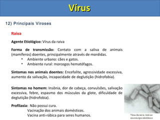 12) Principais Viroses
Raiva
Agente Etiológico: Vírus da raiva
Forma de transmissão: Contato com a saliva de animais
(mamíferos) doentes, principalmente através de mordidas.
• Ambiente urbano: cães e gatos.
• Ambiente rural: morcegos hematófagos.
Sintomas nos animais doentes: Encefalite, agressividade excessiva,
aumento da salivação, incapacidade de deglutição (hidrofobia).
Sintomas no homem: Insônia, dor de cabeça, convulsões, salivação
excessiva, febre, espasmo dos músculos da glote, dificuldade de
deglutição (hidrofobia).
Profilaxia: Não possui cura.
Vacinação dos animais domésticos.
Vacina anti-rábica para seres humanos.
VírusVírus
 