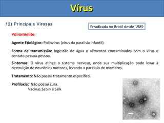 12) Principais Viroses
Poliomielite
Agente Etiológico: Poliovírus (vírus da paralisia infantil)
Forma de transmissão: Ingestão de água e alimentos contaminados com o vírus e
contato pessoa-pessoa.
Sintomas: O vírus atinge o sistema nervoso, onde sua multiplicação pode levar à
destruição de neurônios motores, levando a paralisia de membros.
Tratamento: Não possui tratamento específico.
Profilaxia: Não possui cura.
Vacinas Sabin e Salk
Erradicada no Brasil desde 1989
VírusVírus
 