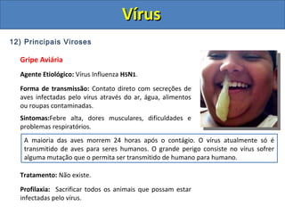 12) Principais Viroses
Gripe Aviária
Agente Etiológico: Vírus Influenza H5N1.
Forma de transmissão: Contato direto com secreções de
aves infectadas pelo vírus através do ar, água, alimentos
ou roupas contaminadas.
Sintomas:Febre alta, dores musculares, dificuldades e
problemas respiratórios.
Tratamento: Não existe.
Profilaxia: Sacrificar todos os animais que possam estar
infectadas pelo vírus.
A maioria das aves morrem 24 horas após o contágio. O vírus atualmente só é
transmitido de aves para seres humanos. O grande perigo consiste no vírus sofrer
alguma mutação que o permita ser transmitido de humano para humano.
VírusVírus
 
