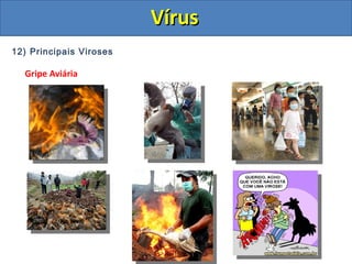 12) Principais Viroses
Gripe Aviária
VírusVírus
 