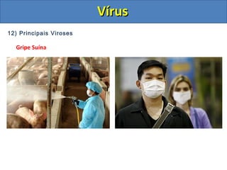 12) Principais Viroses
Gripe Suína
VírusVírus
 
