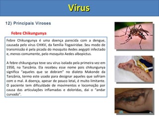 12) Principais Viroses
Febre Chikungunya
Febre Chikungunya é uma doença parecida com a dengue,
causada pelo vírus CHIKV, da família Togaviridae. Seu modo de
transmissão é pela picada do mosquito Aedes aegypti infectado
e, menos comumente, pelo mosquito Aedes albopictus.
A febre chikungunya teve seu vírus isolado pela primeira vez em
1950, na Tanzânia. Ela recebeu esse nome pois chikungunya
significa “aqueles que se dobram” no dialeto Makonde da
Tanzânia, termo este usado para designar aqueles que sofriam
com o mal. A doença, apesar de pouco letal, é muito limitante.
O paciente tem dificuldade de movimentos e locomoção por
causa das articulações inflamadas e doloridas, daí o “andar
curvado”.
VírusVírus
 