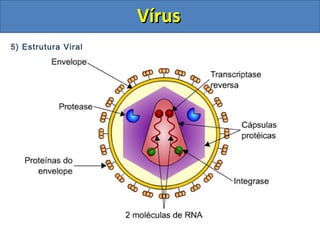 VírusVírus
5) Estrutura Viral
 