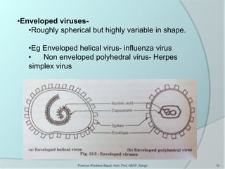 Virus | PPT