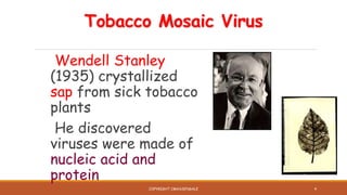 wendell stanley tobacco mosaic virus Virus