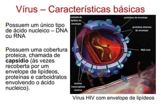 Vírus – Características básicas
 Possuem um único tipo
de ácido nucleico – DNA
ou RNA
 Possuem uma cobertura
proteica, chamada de
capsídio (às vezes
recoberta por um
envelope de lipídeos,
proteínas e carboidratos
envolvendo o ácido
nucleico).
Vírus HIV com envelope de lipídeos
 