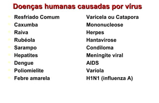 Doenças humanas causadas por vírusDoenças humanas causadas por vírus
 Resfriado Comum Varicela ou Catapora
 Caxumba Mononucleose
 Raiva Herpes
 Rubéola Hantavirose
 Sarampo Condiloma
 Hepatites Meningite viral
 Dengue AIDS
 Poliomielite Varíola
 Febre amarela H1N1 (influenza A)
 