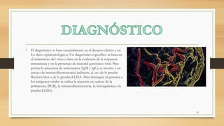 • El diagnóstico se basa esencialmente en el decurso clínico y en
los datos epidemiológicos. Un diagnóstico específico se basa en
el aislamiento del virus o bien en la evidencia de la respuesta
inmunitaria y en la presencia de material genómico viral. Para
probar la presencia de anticuerpos (IgM y IgG) se recurre a un
ensayo de inmunofluorescencia indirecta, al uso de la prueba
Western blot o de la prueba ELISA. Para distinguir el genoma o
los antígenos virales se utiliza la reacción en cadena de la
polimerasa (PCR), la inmunofluorescencia, la histoquímica o la
prueba ELISA.
10
 