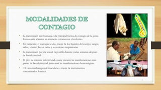 • La transmisión interhumana es la principal forma de contagio de la gente.
Esto ocurre al entrar en contacto cercano con el enfermo.
• En particular, el contagio se da a través de los líquidos del cuerpo: sangre,
saliva, vómito, heces, orina y secreciones respiratorias.
• La transmisión por vía sexual es posible durante varias semanas después
de la enfermedad.
• El pico de máxima infectividad ocurre durante las manifestaciones más
graves de la enfermedad, junto con las manifestaciones hemorrágicas.
• El virus también puede inocularse a través de instrumentos
contaminados fomites.
7
 