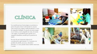 Las manifestaciones hemorrágicas se producen a
partir del quinto día de enfermedad. La muerte
suele acaecer por colapso cardiocirculatorio a causa
de sangrados múltiples. Se puede encontrar sangre
en el vómito y tener sangrados de nariz, de encías
o de vagina. Un problema grave puede ser el
sangrado abundante causado por la punción de
agujas.
En caso de que la persona sobreviva la
convalecencia, sigue durante 3 a 4 semanas con
pérdida del cabello, anorexia y disturbios
psicóticos. A veces pueden darse mielitis transversa
y uveítis.
9
 