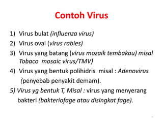 Contoh Virus
1) Virus bulat (influenza virus)
2) Virus oval (virus rabies)
3) Virus yang batang (virus mozaik tembakau) misal
Tobaco mosaic virus/TMV)
4) Virus yang bentuk polihidris misal : Adenovirus
(penyebab penyakit demam).
5) Virus yg bentuk T, Misal : virus yang menyerang
bakteri (bakteriofage atau disingkat fage).
10
 