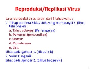 Reproduksi/Replikasi Virus
cara reproduksi virus terdiri dari 2 tahap yaitu :
1. Tahap pertama Siklus Litik, yang mempunyai 5 (lima)
tahap yakni :
a. Tahap adsorpsi (Penempelan)
b. Penetrasi (penyuntikan)
c. Sintesis
d. Pematangan
e. Lisis
Lihat pada gambar 1. (siklus litik)
2. Siklus Lisogenik
Lihat pada gambar 2. (Siklus Lisogenik )
15
 