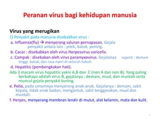 Virus yang merugikan
1) Penyakit pada manusia disebabkan virus :
a. Influenza(flu)  menyerang saluran pernapasan. Gejala
penyakit antara lain : pilek, batuk, pening.
b. Cacar : disebabkan oleh virus Herpesvirus varicella.
c. Campak : disebakan oleh virus paramyxovirus. Gejalanya seperti : demam
tinggi, batuk, dan rasa nyeri di seluruh tubuh.
d. Hepatitis (pembengkakan hati).
Ada 3 macam virus hepatitis yakni A,B dan C (non A dan non B). Yang paling
berbahaya adalah virus B, gejalanya : demam, mual, dan muntah serta
muncul gejala penyakit kuning.
e. Polio, pada umumnya menyerang anak-anak. Gejalanya : demam, sakit
kepala, tidak enak badan, mengantuk, sakit tenggorokan, mual dan
muntah.
f. Herpes, menyerang membran lendir di mulut, alat kelamin, mata dan kulit.
21
Peranan virus bagi kehidupan manusia
 