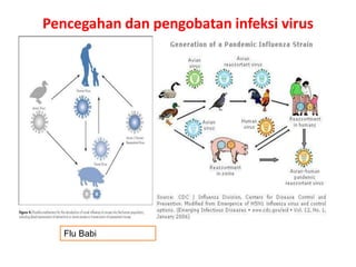 Pencegahan dan pengobatan infeksi virus
Flu Babi
 