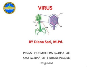 VIRUS
BY Diana Sari, M.Pd.
1
PESANTREN MODERN Ar-RISALAH
SMA Ar-RISALAH LUBUKLINGGAU
2019-2020
 
