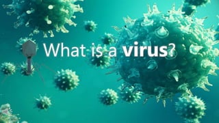 What is a virus?
 