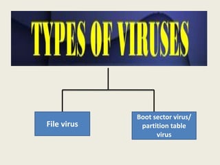 File virus
Boot sector virus/
partition table
virus
 