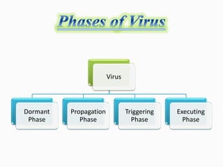 Virus
Dormant
Phase
Propagation
Phase
Triggering
Phase
Executing
Phase
 