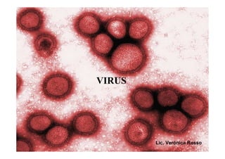 VIRUS
Lic. Verónica Rosso
 