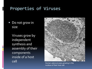 Properties of Viruses
 Do not grow in
size
Viruses grow by
independent
synthesis and
assembly of their
components
inside of a host
cell Human adenoviruses growing in the
nucleus of their host cell
 
