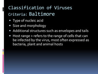 Classification of Viruses
Criteria: Baltimore
 Type of nucleic acid
 Size and morphology
 Additional structures such as envelopes and tails
 Host range > refers to the range of cells that can
be infected by the virus, most often expressed as
bacteria, plant and animal hosts
 