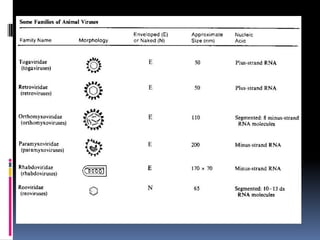 Some Families of Animal Viruses (continued)
 