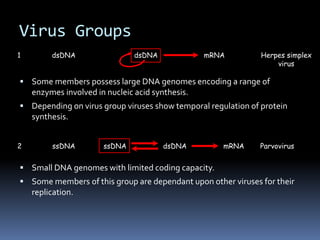 Virus Groups
 Some members possess large DNA genomes encoding a range of
enzymes involved in nucleic acid synthesis.
 Depending on virus group viruses show temporal regulation of protein
synthesis.
 Small DNA genomes with limited coding capacity.
 Some members of this group are dependant upon other viruses for their
replication.
1 dsDNA dsDNA mRNA Herpes simplex
virus
2 ssDNA Parvovirus
dsDNA mRNA
ssDNA
 